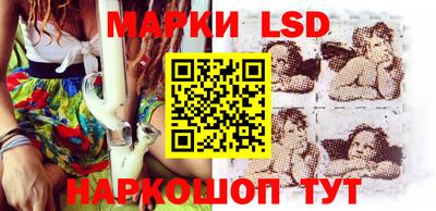 индика Заволжье