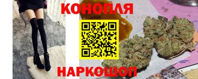 индика Заволжье