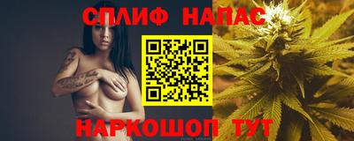 индика Заволжье