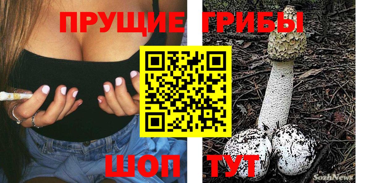 Лянтор  наркота  Вход с VPN  Псилоцибиновые грибы MAGIC MUSHROOMS 